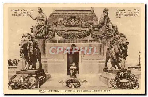 Cartes postales Bruxelles Tombeau d&#39un soldat inconnu belge Lion