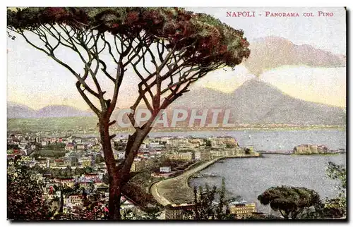 Ansichtskarte AK Italie Italia Napoli Panorama col Pino