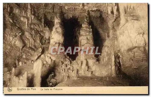 Ansichtskarte AK Belgique Grottes de Han La salle du precipice