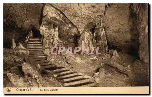 Cartes postales Belgique Grottes de Han La salle vigneron