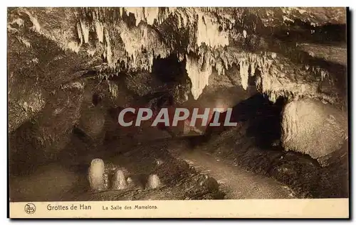 Cartes postales Belgique Grottes de Han La salle des mamelons