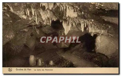 Belgique Grottes de Han La salle des mamelons