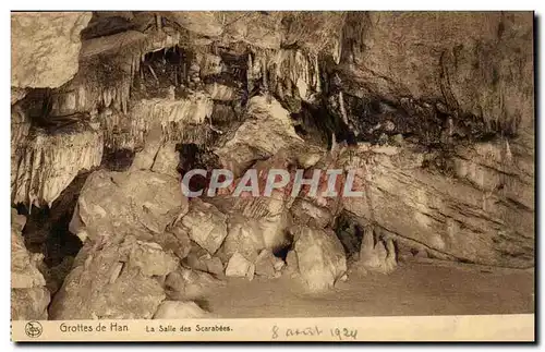 Cartes postales Belgique Grottes de Han La salle des scarabees