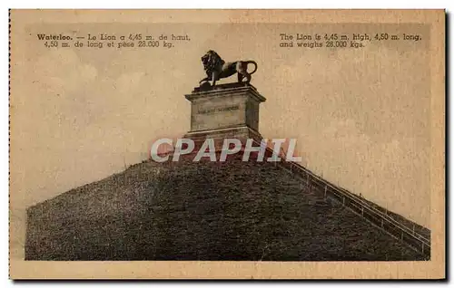 Cartes postales Belgique Waterloo Le lion a 4 45 m de haut