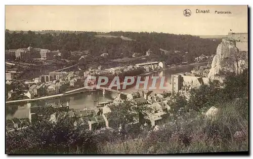 Cartes postales Dinant Panorama