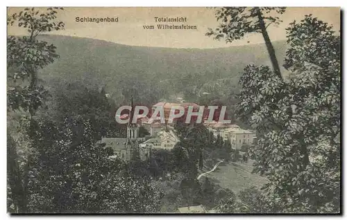 Cartes postales Schlangenbad Totalansicht vom Wilhelmsfelsen