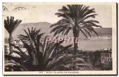 Nice Cartes postales Vue entre les palmiers