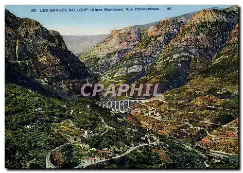 Cartes postales Les gorges du loup Vue panoramique