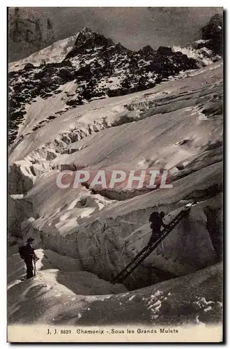 Ansichtskarte AK Chamonix Sous les grands mulets alpnisme alpiniste