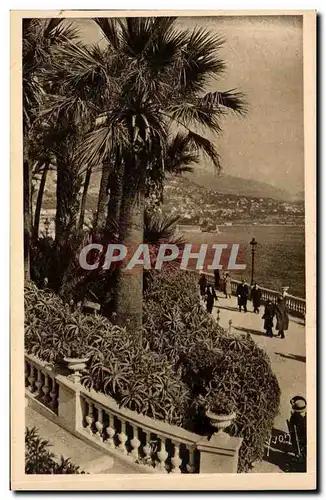 Cartes postales Monaco Monte Carlo Les terrasses du casino