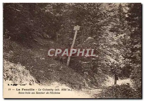 Ansichtskarte AK La Faucille Le Colomby (1691m) Sous bois au sentier de l&#39echine