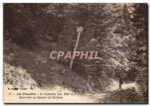 Cartes postales La Faucille Le Colomby (1691m) Sous bois au sentier de l&#39echine