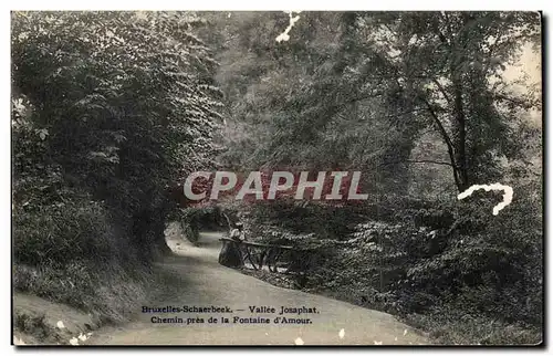 Cartes postales Bruxelles Schaerbeek Vallee Josaphat Chemin pres de la fondation d&#39amour