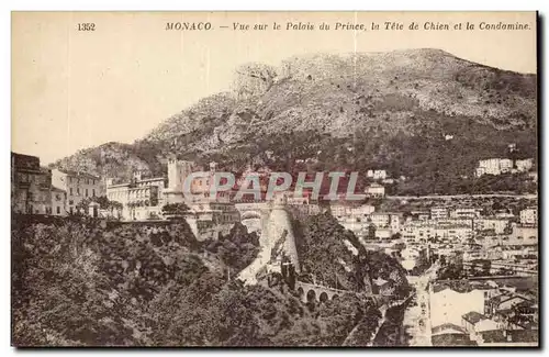 Cartes postales Monaco Monte Carlo Vue sur le palais du prince La tete de chien et la Condamine