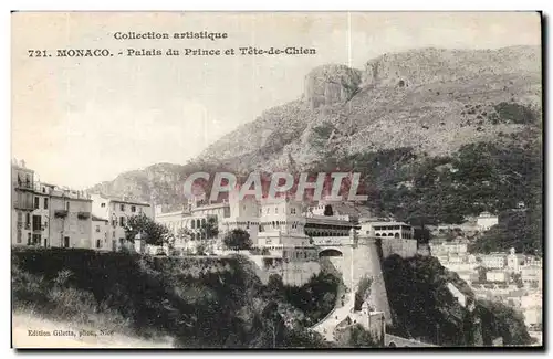 Cartes postales Monaco Monte Carlo Palais du prince et tete de chien