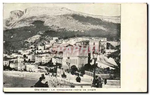 Cartes postales Monaco Monte Carlo La Condamine Tete de chien