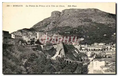 Cartes postales Monaco Monte Carlo Le Palais du prince et la tete de chien