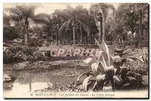 Cartes postales Monaco Monte Carlo Les jardins La petite Afrique