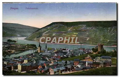 Cartes postales Bingen Totalansicht