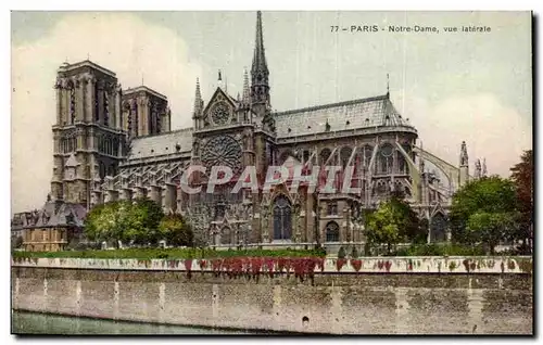 Paris - 4 - Cathedrale Notre Dame - Cartes postales