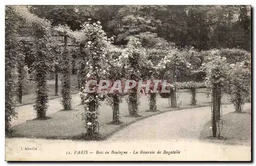 Paris - 16 - Bois de Boulogne - Roseraie de Bagatelle - Ansichtskarte AK