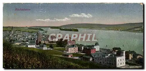 Allemagne - Deutschland - Ruedesheim - Cartes postales