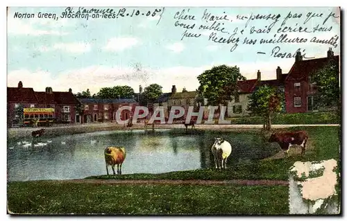 Angleterre - England - Isle of Wight - Norton Green - Stockton on lees - Cartes postales