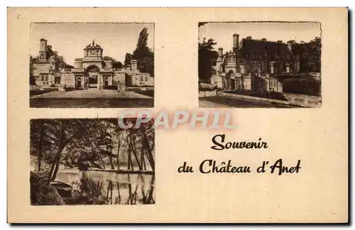 Cartes postales Souvenir du chateau d&#39Anet