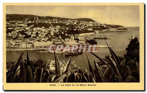 Cartes postales Nice Le pont et le Mont Boron