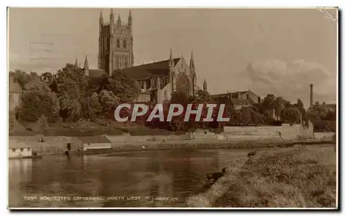 Angleterre - England - Worcester Cathedral - Ansichtskarte AK