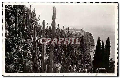 Monaco - Les Jardins Exotiques - Vue sur le Rocher de Monaco - Ansichtskarte AK