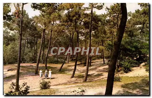 Moderne Karte Knokke promenade dans la foret