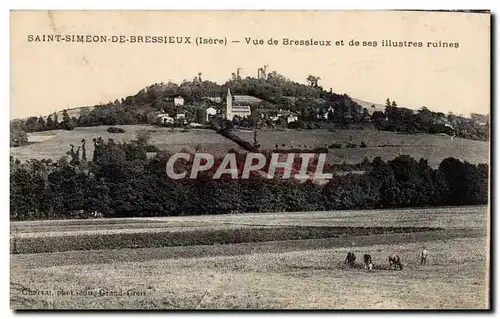 Cartes postales Saint Simeon de Bressieux Vue de Bressieux et des illustres ruines