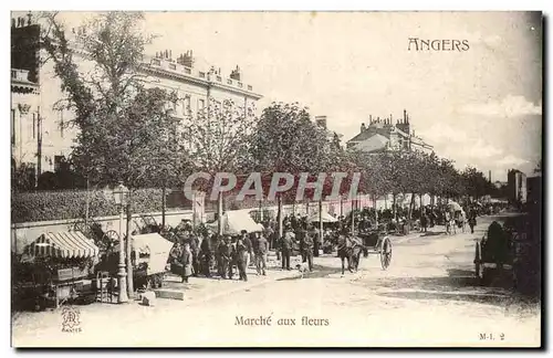 Cartes postales Angers Marche aux fleurs