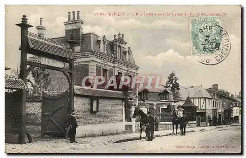 Cartes postales Pont L&#39eveque La rue St Melaine et la station du haras national du pin Chevaux Cheval Horse