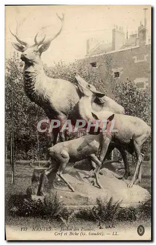 Ansichtskarte AK Nantes Jardin des plantes Cerf et biche