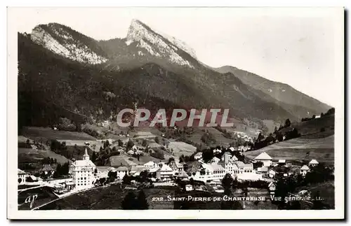 Moderne Karte Saint Pierre de Chartreuse Vue generale