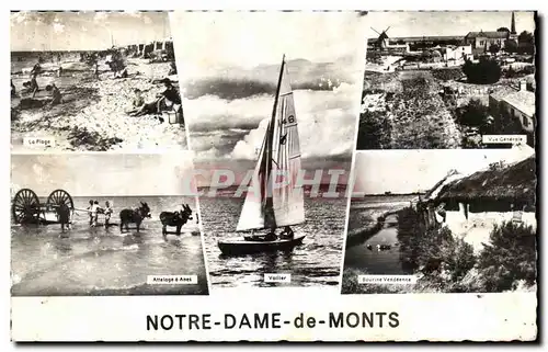 Cartes postales moderne Notre Dame de MontsAne Donkey