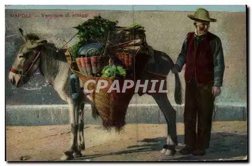 Cartes postales Italie Italia Napoli Vanditore i erbaggi Ane donkey mule