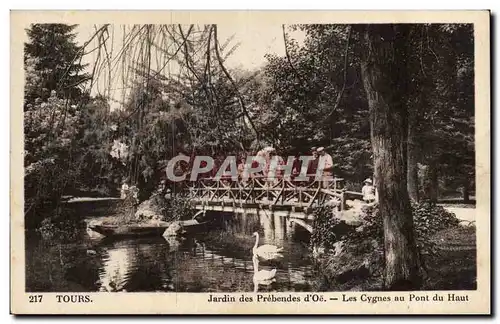 Cartes postales Tours Jardin des Prebendes d&#39or Les cygnes au pont du haut