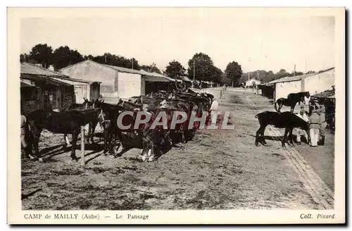 Cartes postales Camp de mailly Le passage Chevaux Militaria