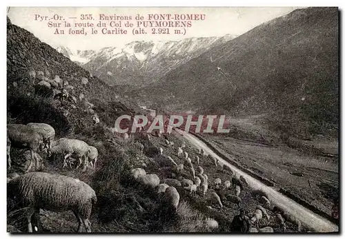 Ansichtskarte AK Environs de Font Romeu Sur la route du col de Puymorens