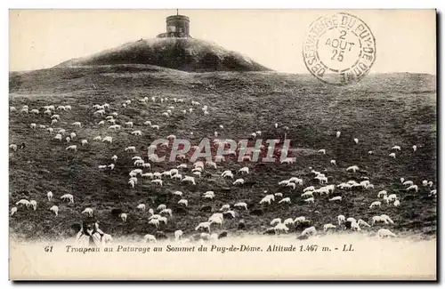 Ansichtskarte AK Troupeau au paturage au sommet du Puy de Dome Moutons