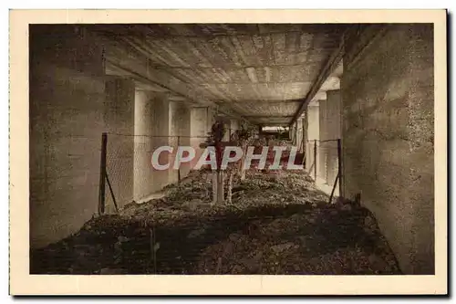 Cartes postales Militaria Thiaumont pres Douaumont Tranchee