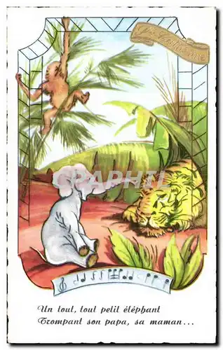 Cartes postales Fantaisie Elephant Singe Lion Tigre Ste CAtherine