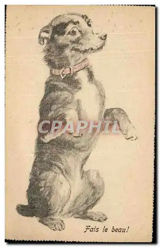 Cartes postales Fantaisie Chein Dog Fais le beau