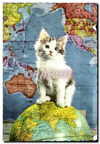 Cartes postales moderne Fantaisie Chat Cat