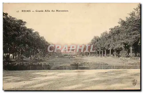 Reims Cartes postales Grande allee des maronniers