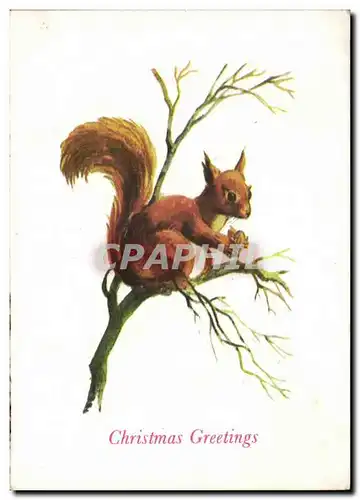 Cartes postales Fantaisie Ecureuil Christmas Noel