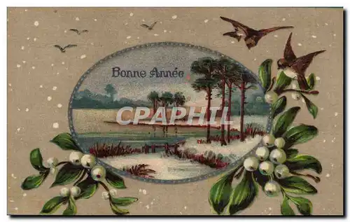 Cartes postales Fantaisie Bonne annee (en relief)